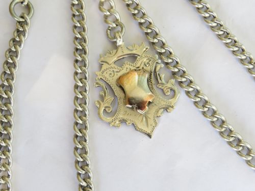 fig 1. Antique silver double watch albert and fob