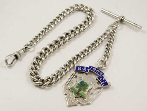 Superb Antique Silver Chain and Cricket Fob