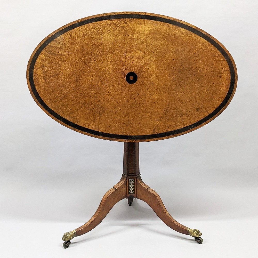 A Regency period oval tilt-top table crafted from amboyna wood with an ebony inlaid border, supported by a central pedestal and tripod legs with brass lion paw castors.