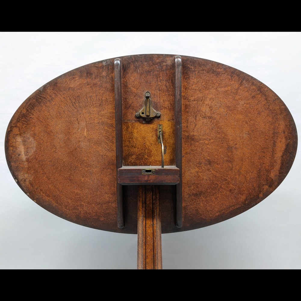A Regency period oval tilt-top table crafted from amboyna wood with an ebony inlaid border, supported by a central pedestal and tripod legs with brass lion paw castors. View II