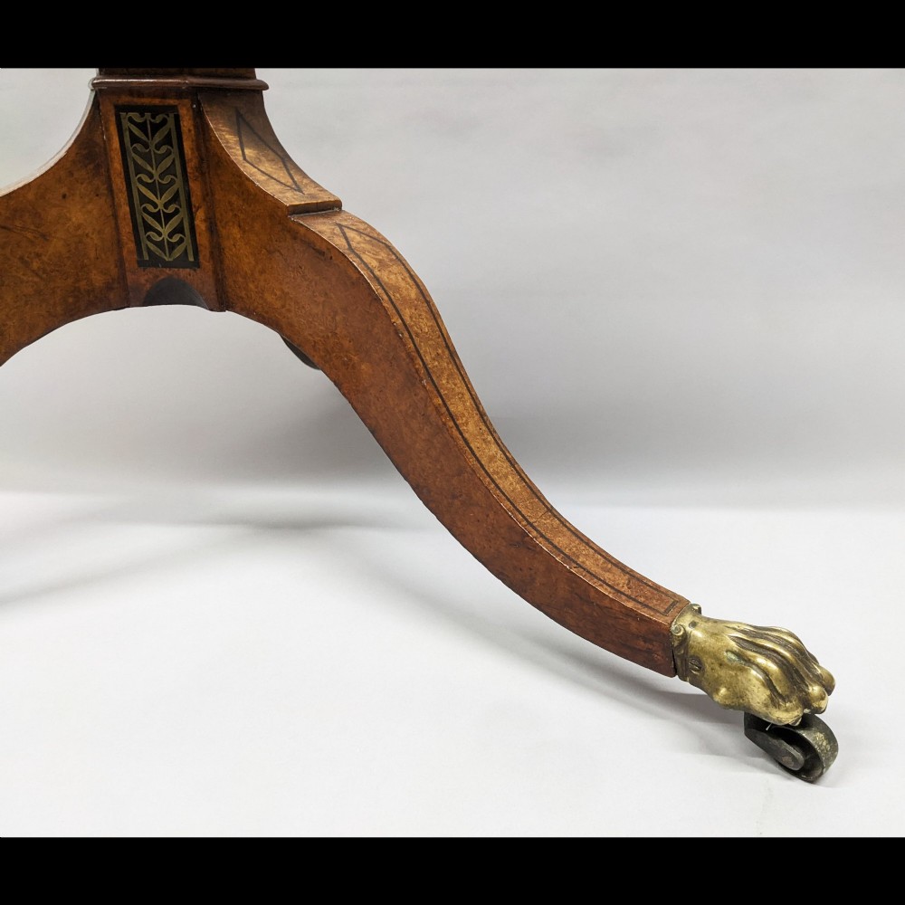 A Regency period oval tilt-top table crafted from amboyna wood with an ebony inlaid border, supported by a central pedestal and tripod legs with brass lion paw castors. View V