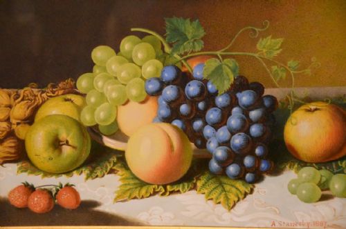 fig 1.