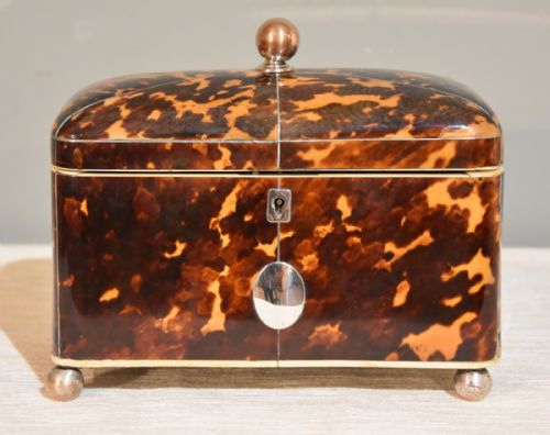Early 19th Century Tortoiseshell Tea Caddy