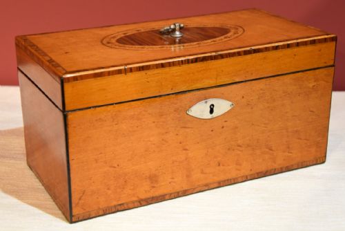 Tea Caddy George III Satinwood Inlaid