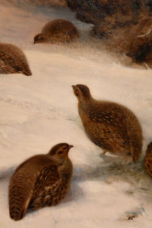 OIL PAINTING BY HENRY GRANT PARTRIDGES IN THE SNOW - ADDITIONAL PHOTO 5