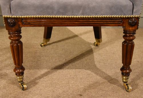 REGENCY ROSEWOOD TUB ARMCHAIR REUPHOLSTERED - ADDITIONAL PHOTO 3