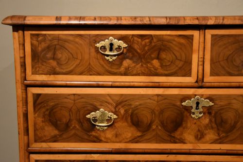 CHEST OF DRAWERS WILLIAM AND MARY OLIVEWOOD OYSTER - ADDITIONAL PHOTO 2
