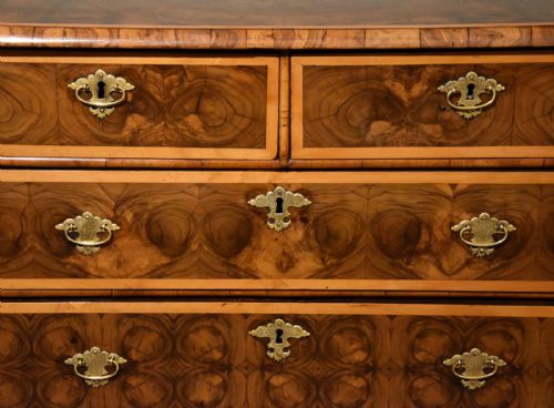 CHEST OF DRAWERS WILLIAM AND MARY OLIVEWOOD OYSTER - ADDITIONAL PHOTO 7
