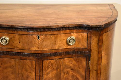 GEORGE III STYLE MAHOGANY SIDE CABINET - ADDITIONAL PHOTO 2
