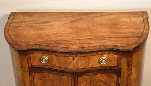 GEORGE III STYLE MAHOGANY SIDE CABINET - ADDITIONAL PHOTO 4