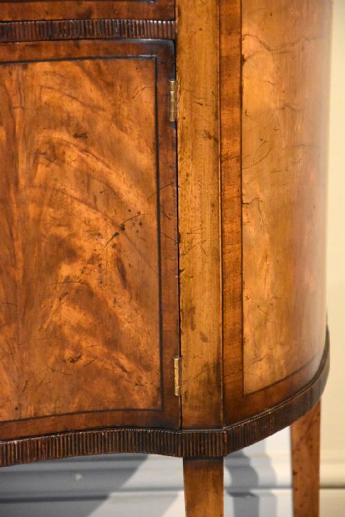 GEORGE III STYLE MAHOGANY SIDE CABINET - ADDITIONAL PHOTO 5