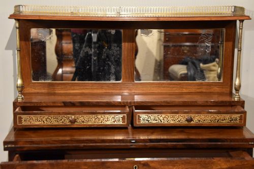 EARLY 19TH CENTURY ROSEWOOD BRASS WRITING CABINET - ADDITIONAL PHOTO 2