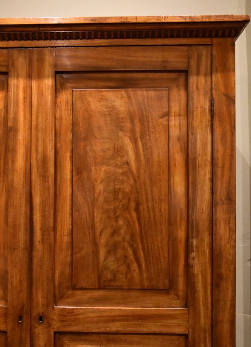 19TH CENTURY CONTINENTAL MAHOGANY CUPBOARD WARDROBE - ADDITIONAL PHOTO 4