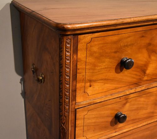 WILLIAM IV CAMPHOR WOOD CAMPAIGN SECRETAIRE CHEST OF DRAWERS - ADDITIONAL PHOTO 5
