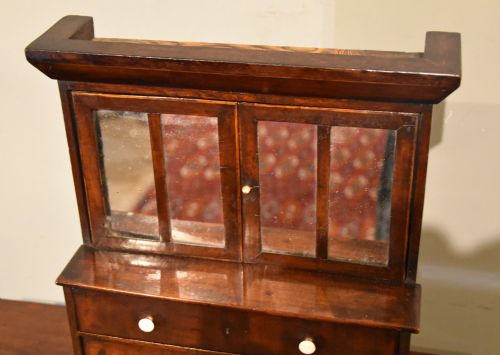 GEORGIAN MAHOGANY MINIATURE BOOKCASE - ADDITIONAL PHOTO 3