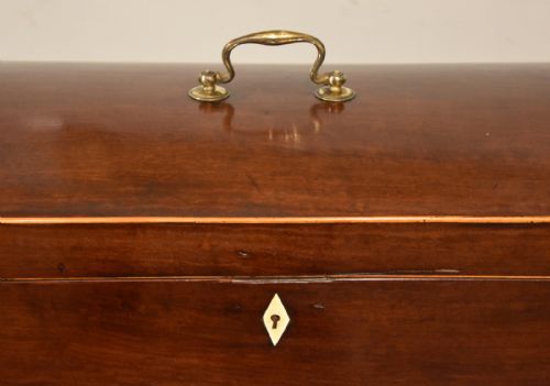 REGENCY PERIOD MAHOGANY WINE COOLER - ADDITIONAL PHOTO 8