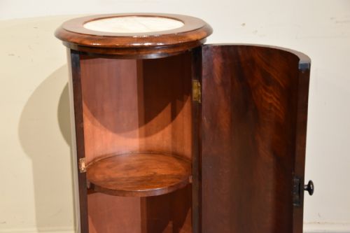 WILLIAM IV PLUM PUDDING MAHOGANY ROUND POT CUPBOARD - ADDITIONAL PHOTO 3