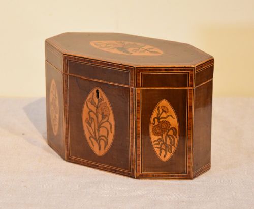 18TH CENTURY HAREWOOD TEA CADDY - ADDITIONAL PHOTO 3