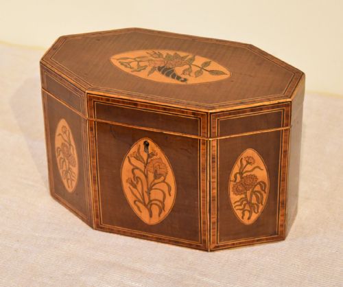 18TH CENTURY HAREWOOD TEA CADDY - ADDITIONAL PHOTO 5