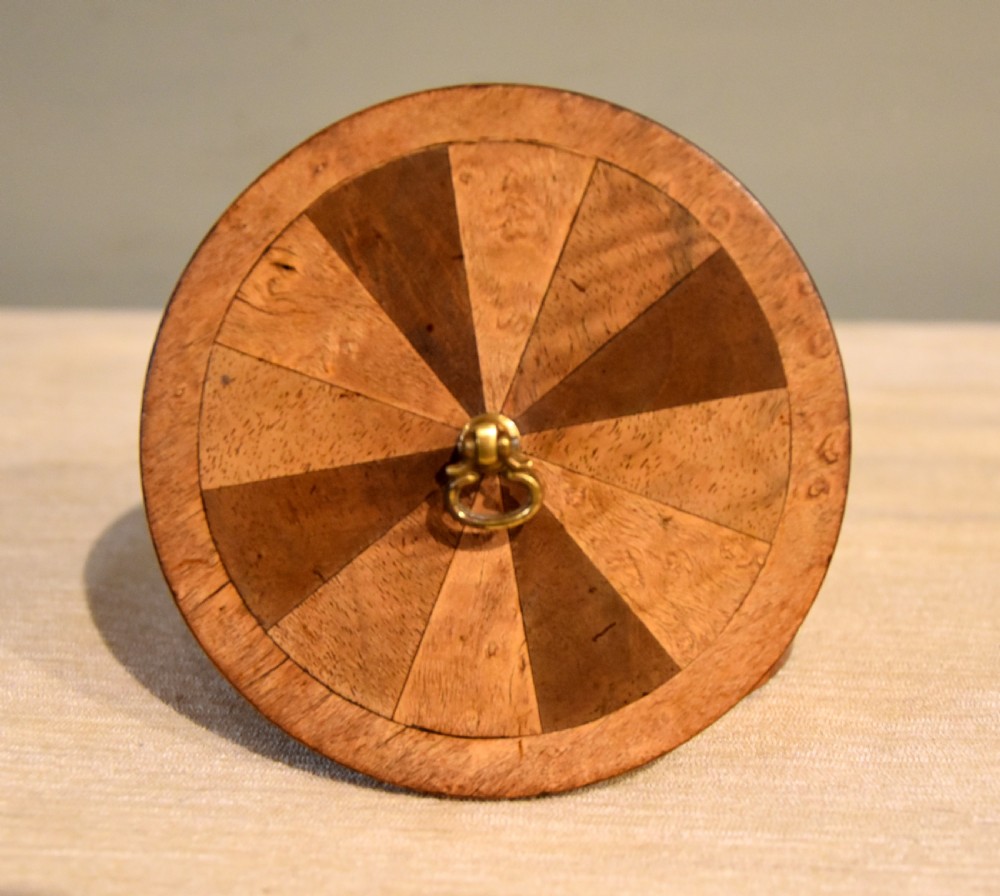 A William IV specimen wood box View IV