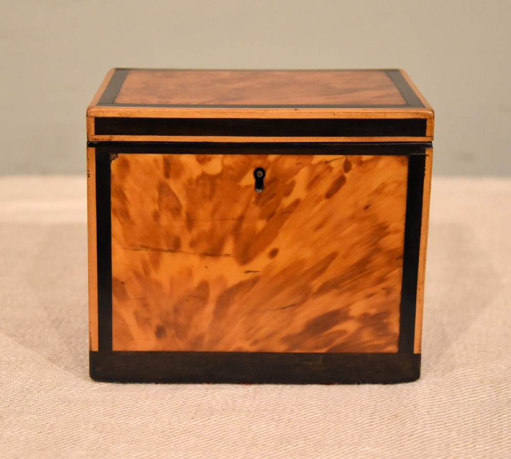 Georgian blonde tortoiseshell and ebony tea caddy
