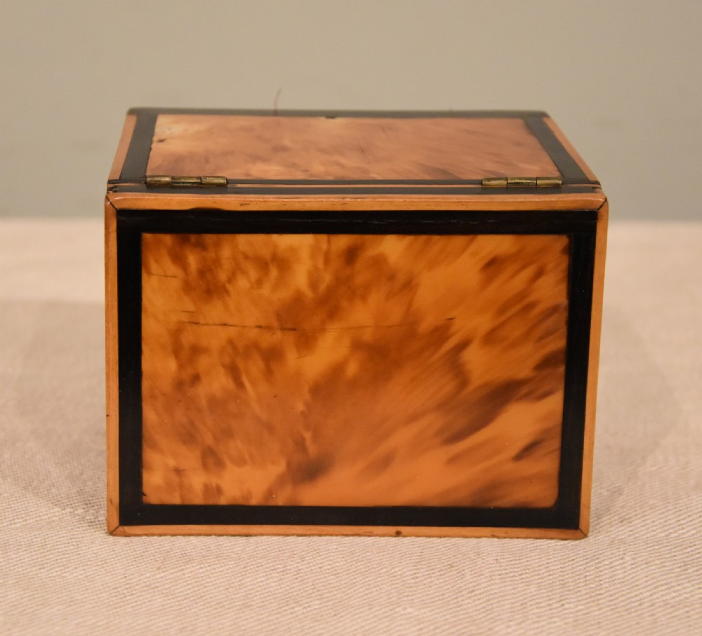 Alternate View