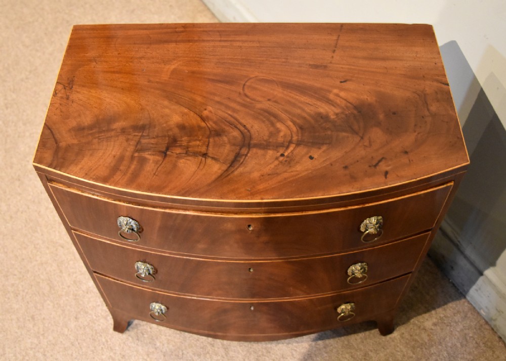 A Regency miniature bow-fronted chest of drawers made from flame mahogany with brass lion mask ring handles and boxwood stringing. View V