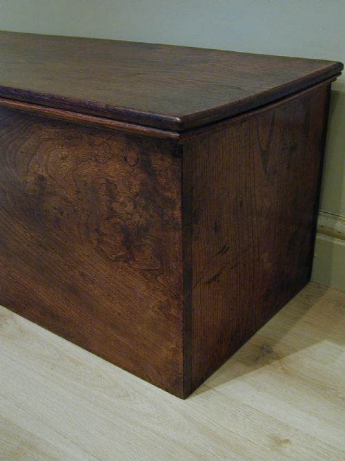 A SUPERB EARLY 19TH CENTURY GEORGIAN STORAGE TRUNK - ADDITIONAL PHOTO 1