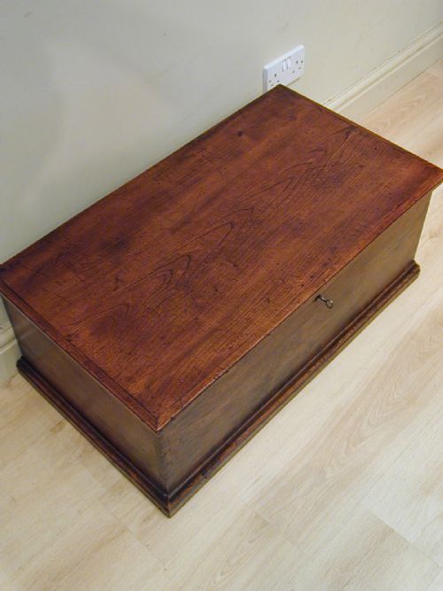 TOP QUALITY GEORGIAN ELM TRUNK - ADDITIONAL PHOTO 5
