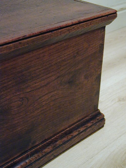 TOP QUALITY GEORGIAN ELM TRUNK - ADDITIONAL PHOTO 8