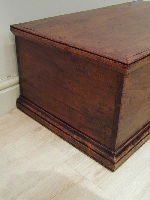 TOP QUALITY GEORGIAN ELM TRUNK - ADDITIONAL PHOTO 10