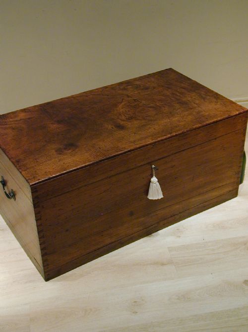 A SUPERB LARGE CAMPHORWOOD TRUNK - ADDITIONAL PHOTO 2