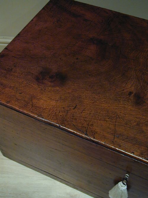 A SUPERB LARGE CAMPHORWOOD TRUNK - ADDITIONAL PHOTO 3