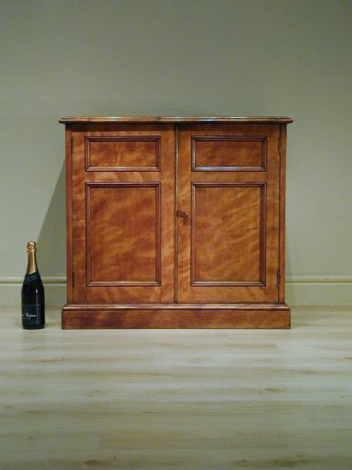 A FINE TWO DOOR VICTORIAN CUPBOARD - ADDITIONAL PHOTO 4