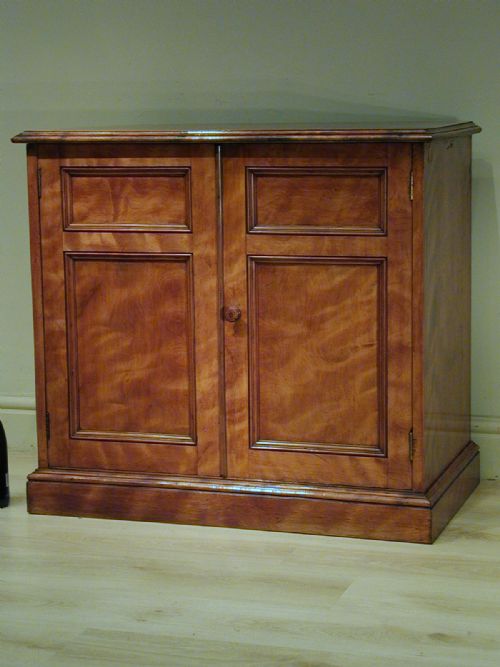 A FINE TWO DOOR VICTORIAN CUPBOARD - ADDITIONAL PHOTO 5