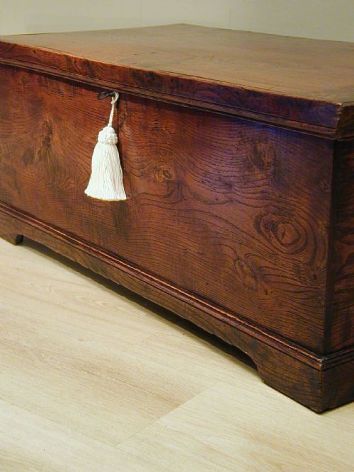 A STUNNING ENGLISH ELM TRUNK - ADDITIONAL PHOTO 6