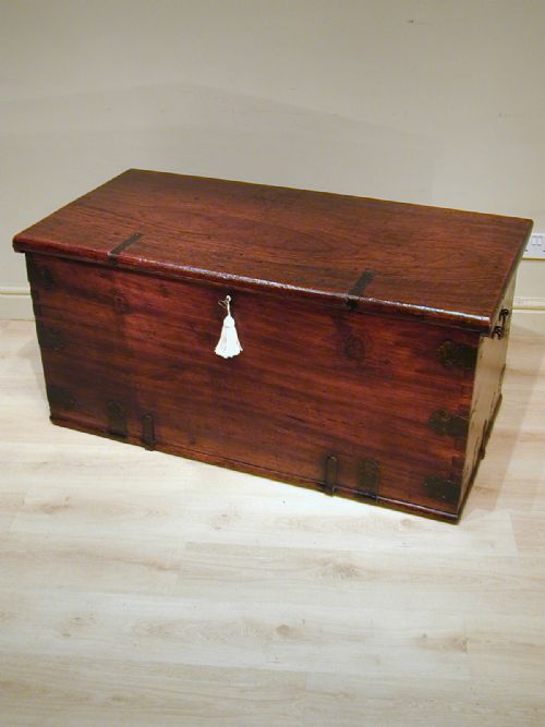 A MAGNIFICENT SOLID CAMPHORWOOD TRUNK - ADDITIONAL PHOTO 1