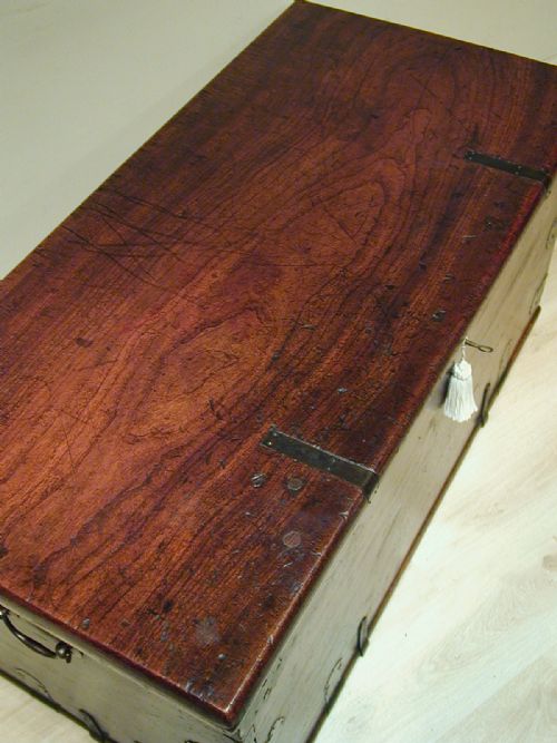 A MAGNIFICENT SOLID CAMPHORWOOD TRUNK - ADDITIONAL PHOTO 6