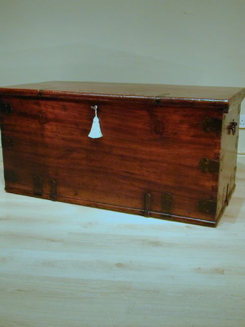 A MAGNIFICENT SOLID CAMPHORWOOD TRUNK - ADDITIONAL PHOTO 8