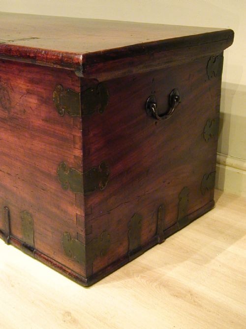 A MAGNIFICENT SOLID CAMPHORWOOD TRUNK - ADDITIONAL PHOTO 10