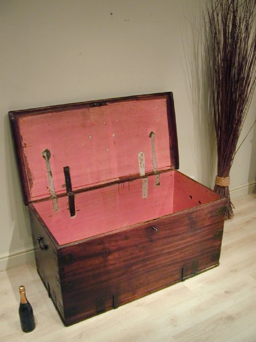 A MAGNIFICENT SOLID CAMPHORWOOD TRUNK - ADDITIONAL PHOTO 12