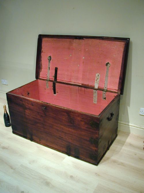 A MAGNIFICENT SOLID CAMPHORWOOD TRUNK - ADDITIONAL PHOTO 13