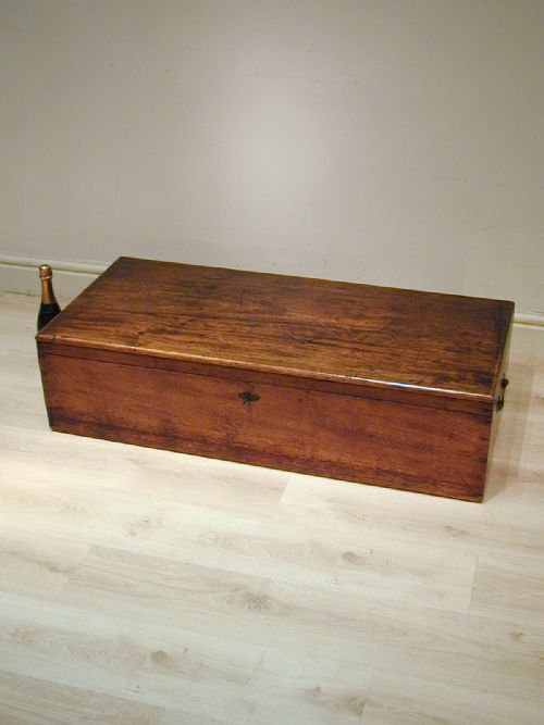 A SUPERB QUALITY LOW CAMPHORWOOD TRUNK - ADDITIONAL PHOTO 8