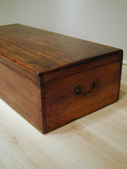 A SUPERB QUALITY LOW CAMPHORWOOD TRUNK - ADDITIONAL PHOTO 10