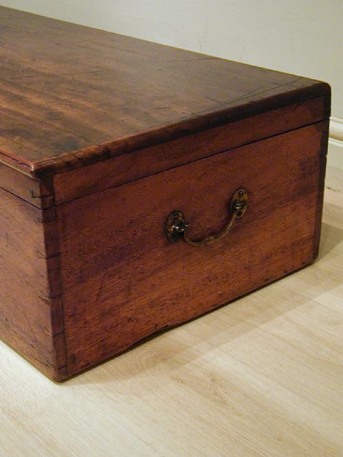 A SUPERB QUALITY LOW CAMPHORWOOD TRUNK - ADDITIONAL PHOTO 11