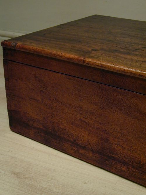 A SUPERB QUALITY LOW CAMPHORWOOD TRUNK - ADDITIONAL PHOTO 12