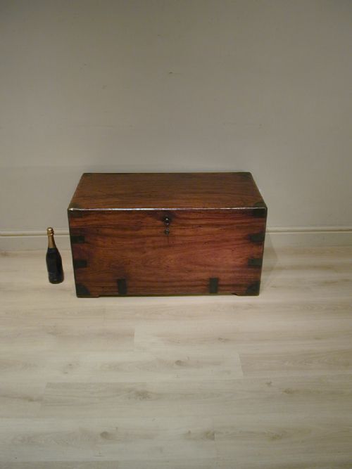 FINEST QUALITY CAMPHORWOOD TRUNK - ADDITIONAL PHOTO 1