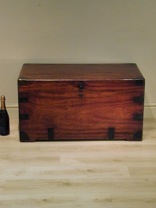 FINEST QUALITY CAMPHORWOOD TRUNK - ADDITIONAL PHOTO 2
