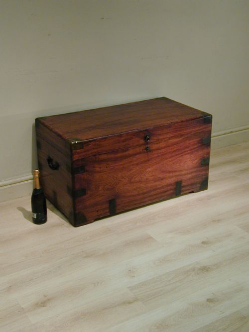FINEST QUALITY CAMPHORWOOD TRUNK - ADDITIONAL PHOTO 3
