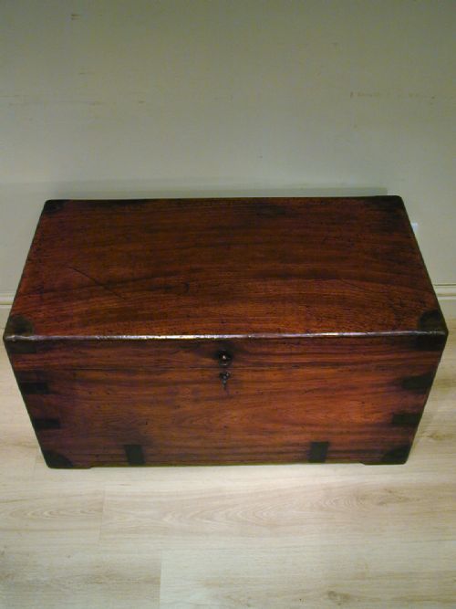 FINEST QUALITY CAMPHORWOOD TRUNK - ADDITIONAL PHOTO 4